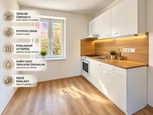 Pronájem bytu 2+1, Aš, Hlavní, 52 m2