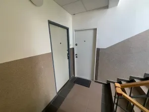 Pronájem bytu 1+1, Praha - Břevnov, Nad alejí, 56 m2