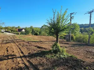 Prodej zahrady, Letovice, Pražská, 1157 m2