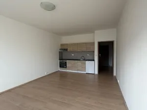 Pronájem bytu 1+kk, Liberec, Jeronýmova, 36 m2