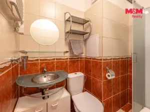 Pronájem bytu 1+1, Rozvadov, 38 m2