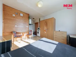 Prodej bytu 1+kk, Karlovy Vary - Stará Role, Fibichova, 18 m2