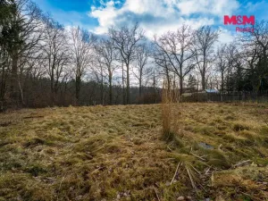 Prodej rodinného domu, Dolní Poustevna, Nad Údolím, 95 m2