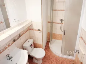 Pronájem bytu 1+1, Písek, třída Přátelství, 38 m2