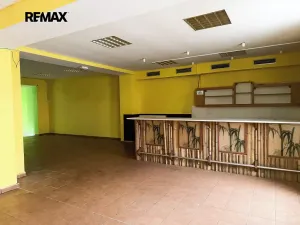 Prodej rodinného domu, Nový Bydžov, Třída Čsl. armády, 368 m2