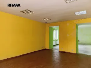 Prodej rodinného domu, Nový Bydžov, Třída Čsl. armády, 368 m2