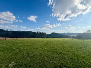 Prodej komerčního pozemku, Vysoký Chlumec, 9213 m2