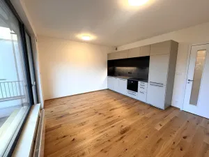 Pronájem bytu 2+kk, Praha - Nusle, Muzikova, 41 m2