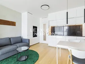 Pronájem bytu 1+kk, Praha - Michle, Hodonínská, 32 m2