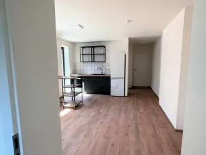 Pronájem bytu 2+kk, Brno - Štýřice, Sovinec, 42 m2