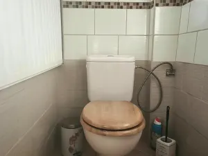 Prodej rodinného domu, Ústí nad Labem, 172 m2