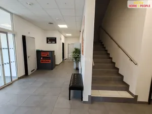 Pronájem skladu, Ostrov, 4400 m2