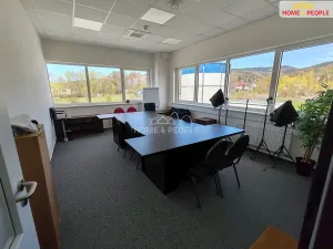 Pronájem skladu, Ostrov, 4400 m2