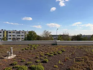 Pronájem bytu 1+kk, Brno - Sadová, Kumpoštova, 30 m2
