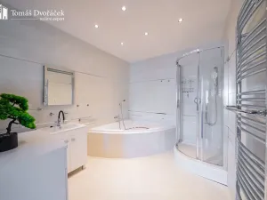 Prodej bytu 2+kk, Brno, Haškova, 77 m2