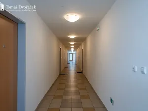 Prodej bytu 2+kk, Brno, Haškova, 77 m2
