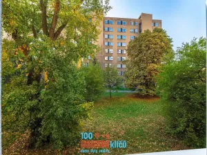 Prodej bytu 1+kk, Praha - Záběhlice, Svojšovická, 28 m2