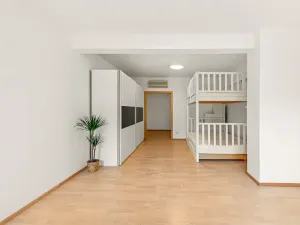 Prodej bytu 4+kk, Praha - Michle, U michelského mlýna, 180 m2