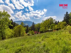 Prodej pozemku pro bydlení, Ostravice, 3902 m2