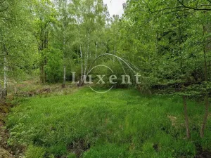 Prodej pozemku pro bydlení, Lipnice nad Sázavou, 38008 m2