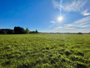 Prodej komerčního pozemku, Horka I, 3923 m2