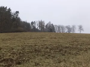 Prodej pole, Zvěstov - Bořkovice, 9983 m2
