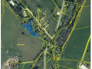 Prodej lesa, Rokytnice v Orlických horách, 3079 m2