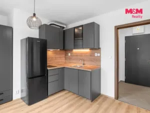 Prodej bytu 1+kk, Praha - Ruzyně, Stočesova, 26 m2