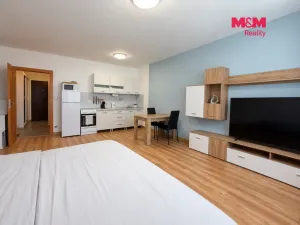 Prodej bytu 1+kk, Karlovy Vary - Drahovice, Mattoniho nábřeží, 45 m2