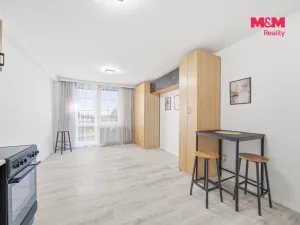 Prodej bytu 1+kk, Olomouc - Slavonín, Topolová, 32 m2