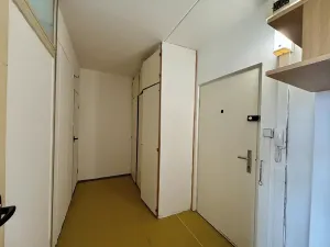Pronájem bytu 1+1, Praha - Malešice, Limuzská, 46 m2