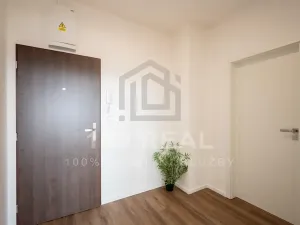 Pronájem bytu 2+kk, Pardubice, třída Míru, 53 m2