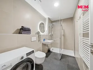 Prodej bytu 1+kk, Olomouc, Ostrovní, 36 m2