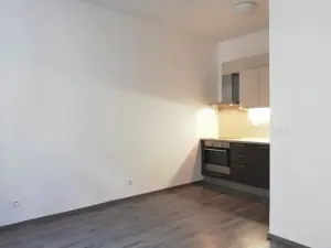 Pronájem bytu 3+kk, Praha - Holešovice, Na Maninách, 54 m2