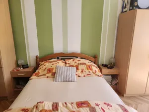 Prodej bytu 2+1, Teplice, Štúrova, 56 m2