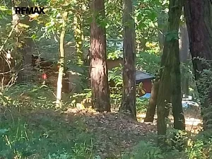 Prodej chaty, Hřivice, 15 m2