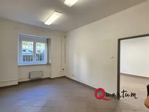 Pronájem obchodního prostoru, Praha - Žižkov, Hartigova, 45 m2