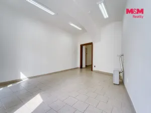 Pronájem obchodního prostoru, Plzeň - Jižní Předměstí, Palackého, 48 m2
