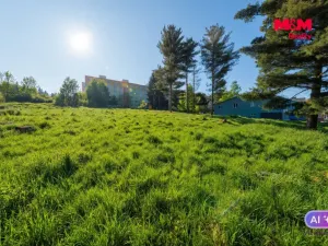 Prodej komerčního pozemku, Sokolov, Karla Havlíčka Borovského, 2821 m2