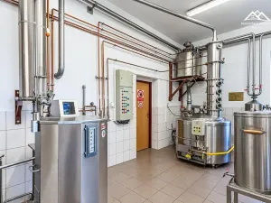 Pronájem výrobních prostor, Nová Ves u Chotěboře, 266 m2