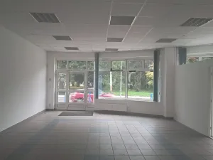 Pronájem obchodního prostoru, Děčín, Příbramská, 95 m2