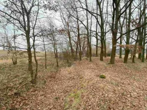 Prodej pozemku, Drahonice - Albrechtice, 2121 m2