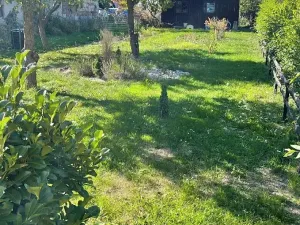 Prodej chalupy, Slepotice, 50 m2