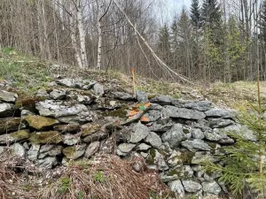 Prodej louky, Paseky nad Jizerou, 3303 m2