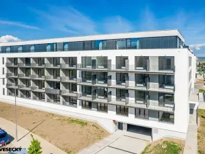 Prodej bytu 1+kk, Plzeň, Železná, 38 m2