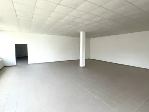 Pronájem skladu, Louny, Postoloprtská, 234 m2