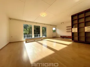 Prodej rodinného domu, Vranov, 220 m2