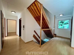 Prodej rodinného domu, Vranov, 220 m2