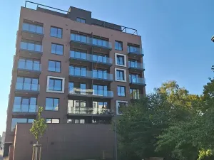 Pronájem bytu 3+kk, Praha - Karlín, Švarcova, 75 m2