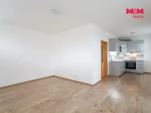 Pronájem bytu 1+kk, Plzeň - Litice, Vysoká, 38 m2